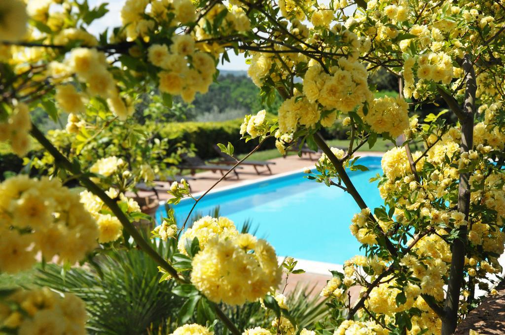 Villa Il Leccio Strada in Chianti Esterno foto